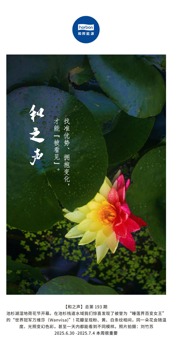 【和之声】找准优势、拥抱变动，能力“被看见”。(总第193期）--2025.6中文导出季度推送用.jpg