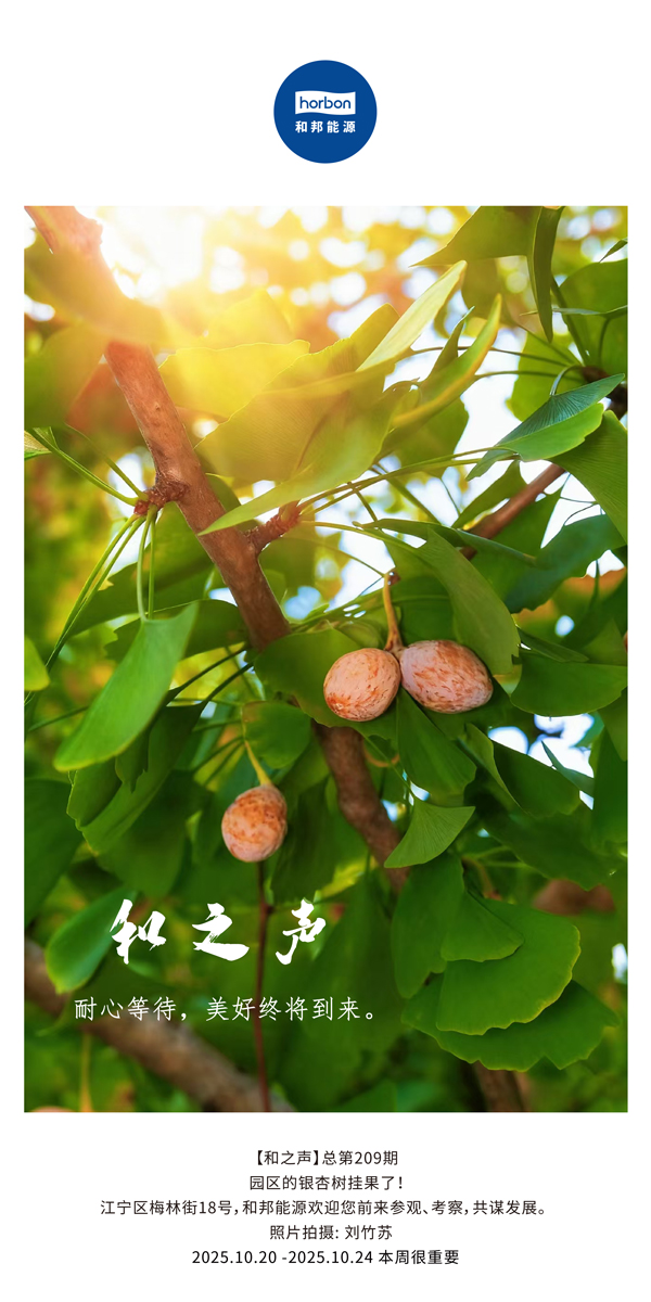 【和之声】耐心期待，美好终将到来。-(总第209期）2025.10.20中文导出季度推送用.jpg